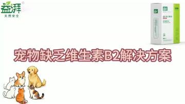 Reishi Mushroom with Vitamin B2 for Pets