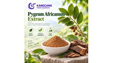 Bulk Supplement Pygeum Africanum Bark Extract 10:1 Powder