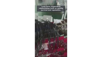 Video 40