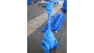 DN40-DN600 Ductile Iron Extended Stem Buried Gate Valve1
