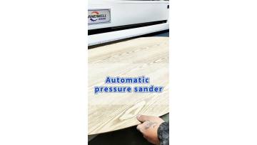 SSA25-H2 Wood Veneer Sanding