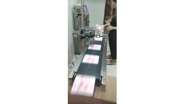 Ink jet printer