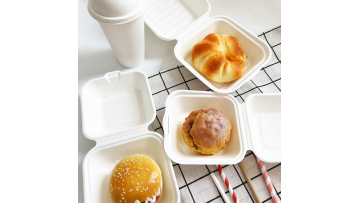 Bagasse burger boxes