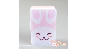 Custom Kitchen Sponge