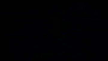 SHENGYE video.mp4