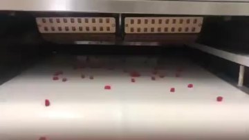 Creatine monohydrate gummies