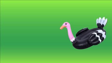 inflatable funny Ostrich pool foat