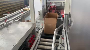 ZY-PM400 Biscuit Packing Line