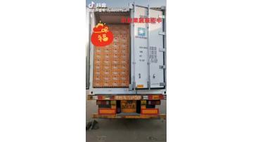factory loading container