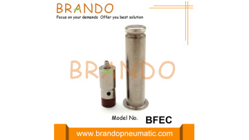 Old BEEC Pulse Valve Armature