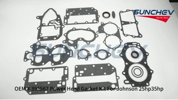 392567 Power Head Gasket Kit