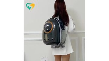 pet carrier airline dimensions