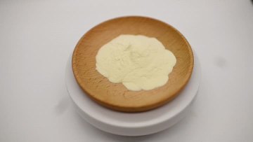 Lactobacillus Salivarius Powder