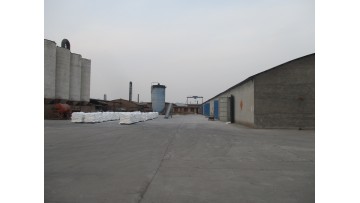 Company profile