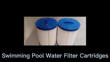 R173216 Pool Filter Cartridge