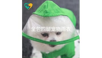 best dog raincoat 2021