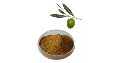 Olive Leaf Extract