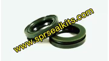 Hydraulic seal (10)