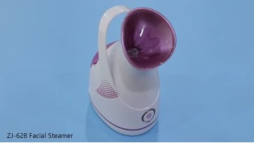 Facial Steamerzj6380