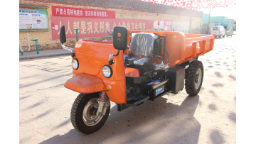 2-3 TON DIESEL TRICYCLE