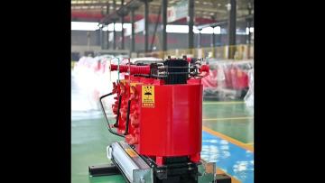 Dry-type electric transformer 250