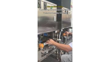 Fruit peeling and core removing machine