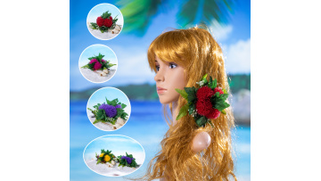KN-hc001 hair clip