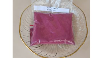 Elderberry Extract
