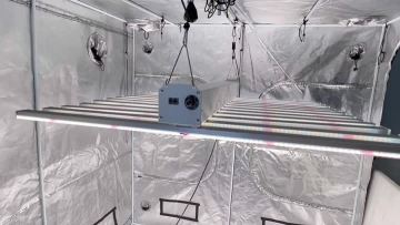 Hanging Full Spectrum Grow Light 
