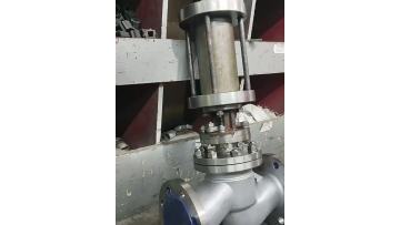 Hydraulic Operated Globe Valve