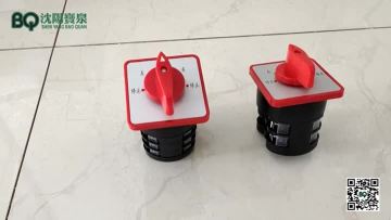 Switch Group for Suspended Platform.mp4