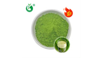 OEM Private Label Organic Barley Grass Juice Powder Manufacturers1
