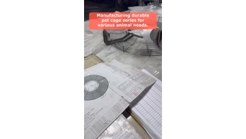 Video 46