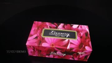 Facial tissue box 2ply