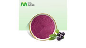 Freeze Dried Fruit Fresh Blueberry Juice Powder1