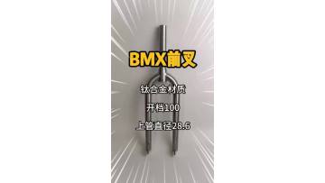BMX Front Fork