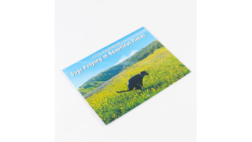 Monthly Wall Calendar
