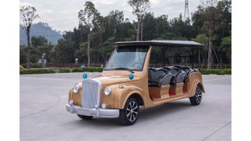 the saler is introducing our classic car