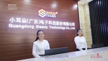 Company Video
