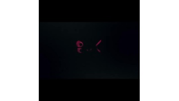 SA-I20BR.mp4