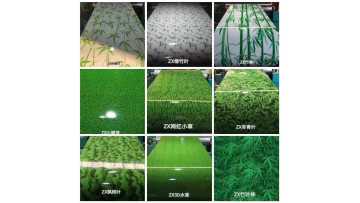 Green color coated steel coil production