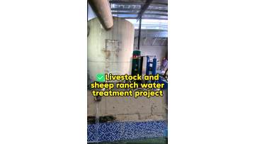 Integrated Ozone System for Livestock Farms – 5-20 Ton Water Tank Disinfection
