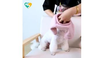 pet clothing in bulk