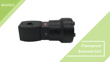 Flameproof Explosion Proof Solenoid Valve Coil VCEF-MXX VCEFCM VCEFDM MP-C-144 MP-C-086 24V 220V