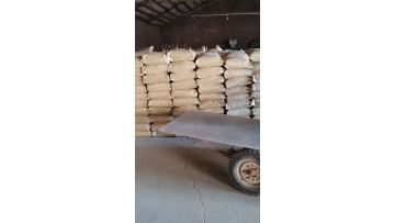 Loading the goods to be sent to client
