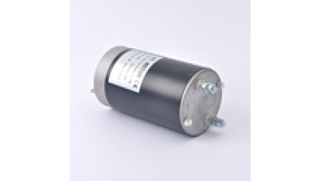 24V 800W chinese factory high quality permanent magnet motor ZDY211S1