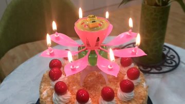 Small lotus birthday candles.mp4