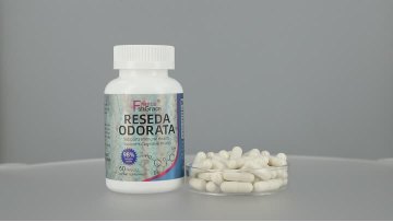 Reseda odorata