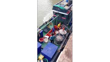 Y013-Looking Forward to Your Triumphant Return | Overseas Service Team of Longyuan Sifang