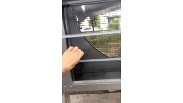 fan